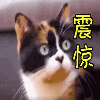 DƬ